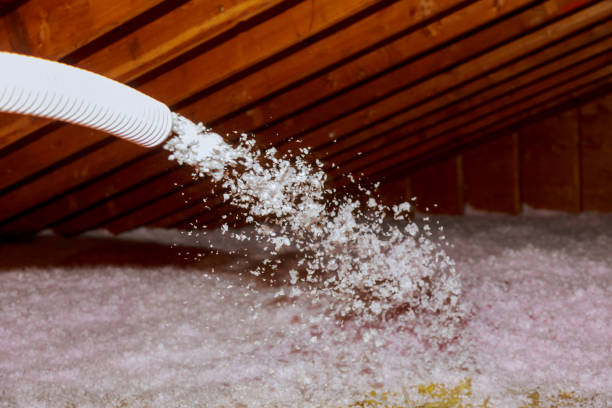 Professional Insulation Contractor in Washington, WV